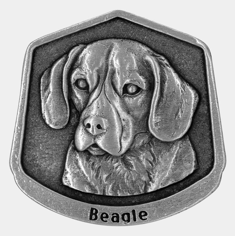 Beagle magnet