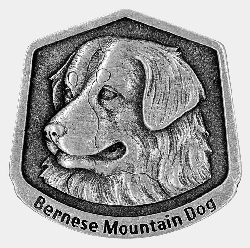 Bernese mountain dog magnet