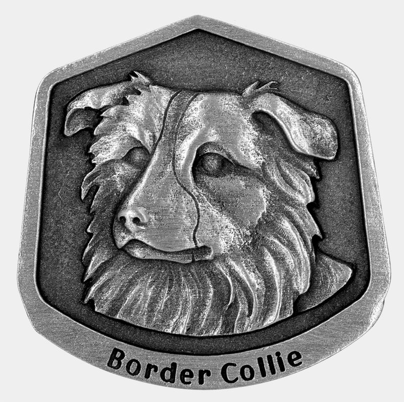 Border Collie magnet