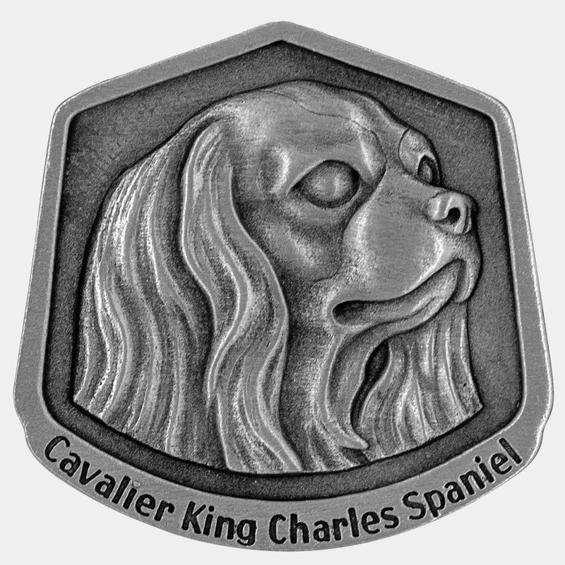 Cavalier King Charles spaniel magnet