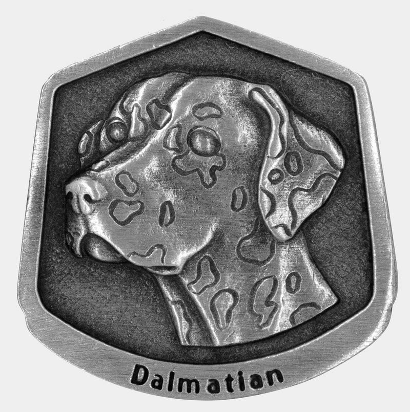 Dalmatian magnet